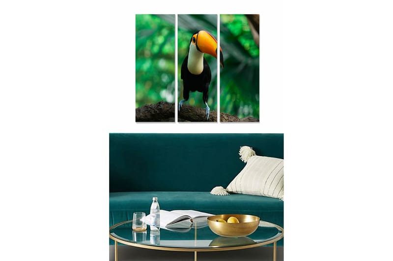 Fototapet Animal 3 stk Flerfarvet - 22x05 cm - Boligtilbehør - Billeder & kunst - Billeder på lærred