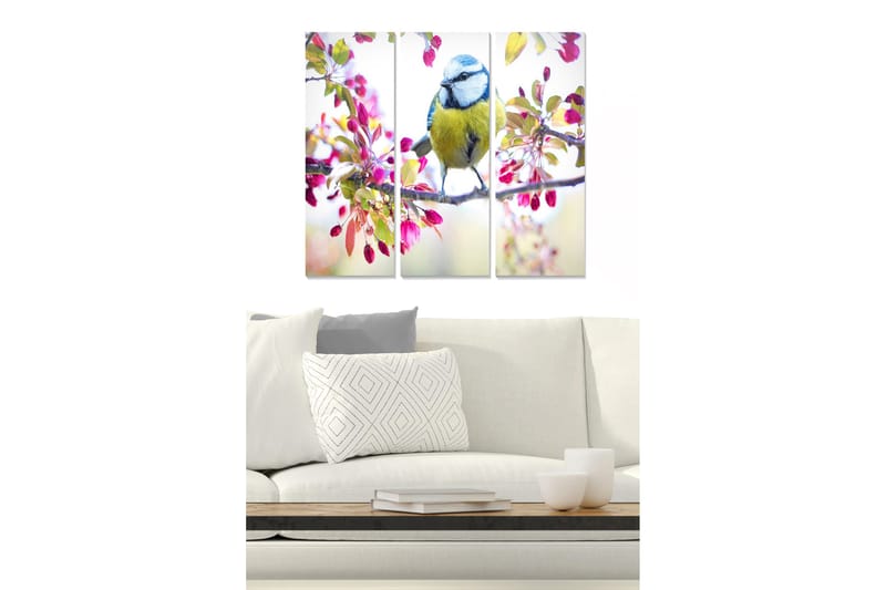 Fototapet Animal 3 stk Flerfarvet, 22x05 cm