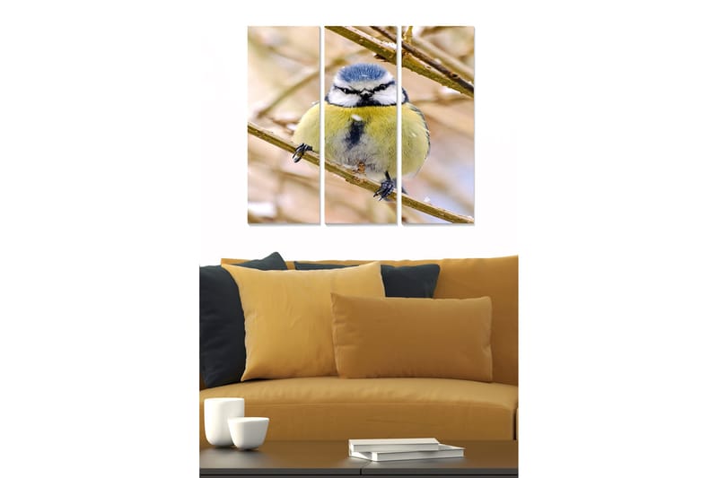 Fototapet Animal 3 stk Flerfarvet, 22x05 cm