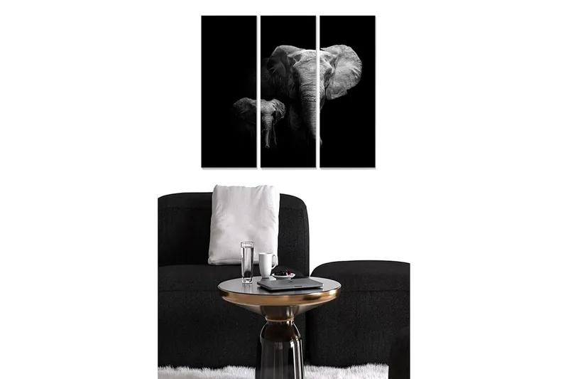 Fototapet Animal 3 stk Flerfarvet, 22x05 cm