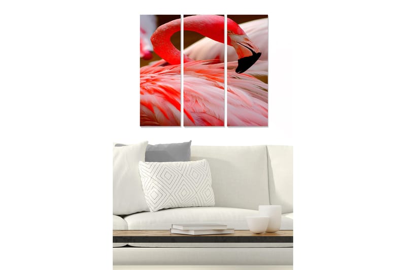 Fototapet Animal 3 stk Flerfarvet, 22x05 cm