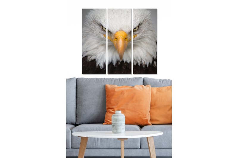 Fototapet Animal 3 stk Flerfarvet, 22x05 cm