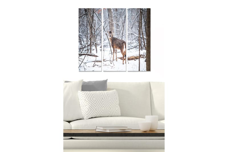 Fototapet Animal 3 stk Flerfarvet, 22x05 cm