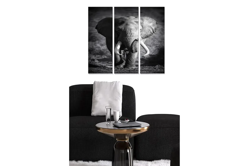 Fototapet Animal 3 stk Flerfarvet, 22x05 cm