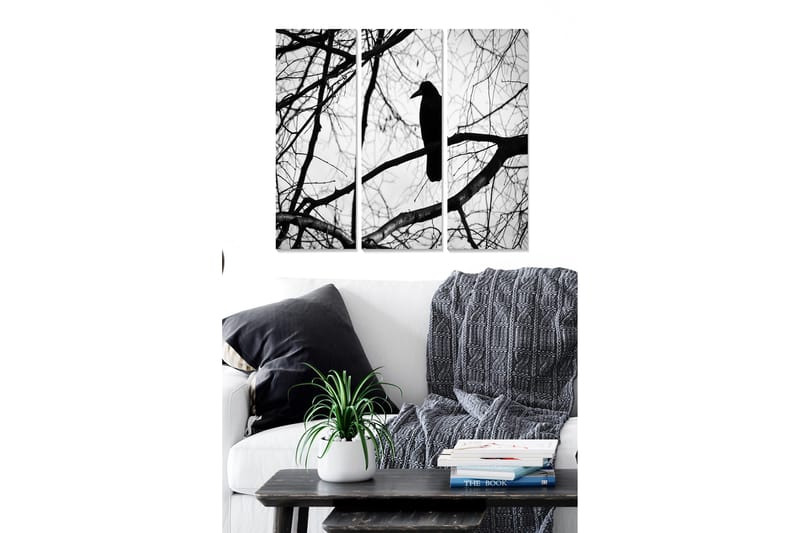 Fototapet Animal 3 stk Flerfarvet, 22x05 cm