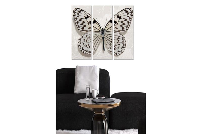 Fototapet Animal 3 stk Flerfarvet, 22x05 cm