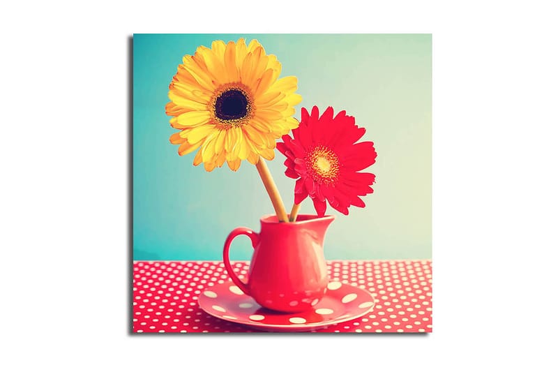 Fototapet Animal Multicolor, 44x54 cm