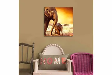Fototapet Animal Multicolor - 44x54 cm - Boligtilbehør - Billeder & kunst - Billeder på lærred