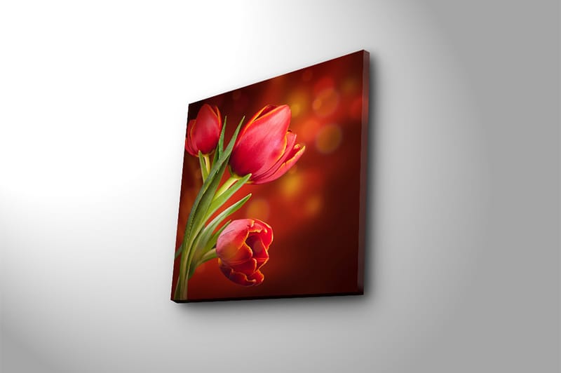 Fototapet Animal Multicolor - 44x54 cm - Boligtilbehør - Billeder & kunst - Billeder på lærred