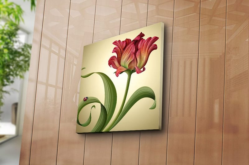 Fototapet Animal Multicolor - 44x54 cm - Boligtilbehør - Billeder & kunst - Billeder på lærred