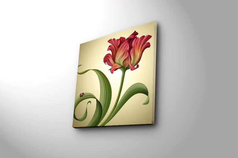 Fototapet Animal Multicolor - 44x54 cm - Boligtilbehør - Billeder & kunst - Billeder på lærred