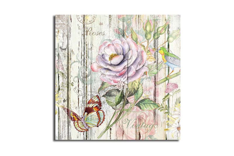 Fototapet Animal Multicolor, 44x54 cm