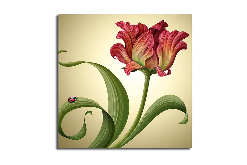 Fototapet Animal Multicolor, 44x54 cm