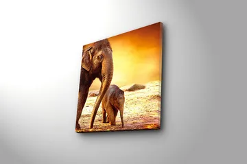 Fototapet Animal Multicolor - 44x54 cm - Boligtilbehør - Billeder & kunst - Billeder på lærred