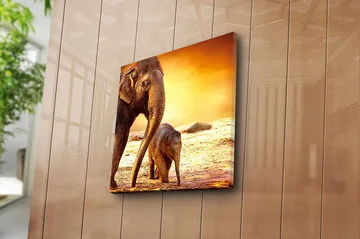 Fototapet Animal Multicolor - 44x54 cm - Boligtilbehør - Billeder & kunst - Billeder på lærred