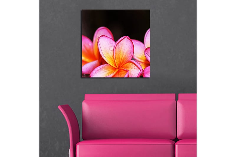 Fototapet Animal Multicolor - 44x54 cm - Boligtilbehør - Billeder & kunst - Billeder på lærred