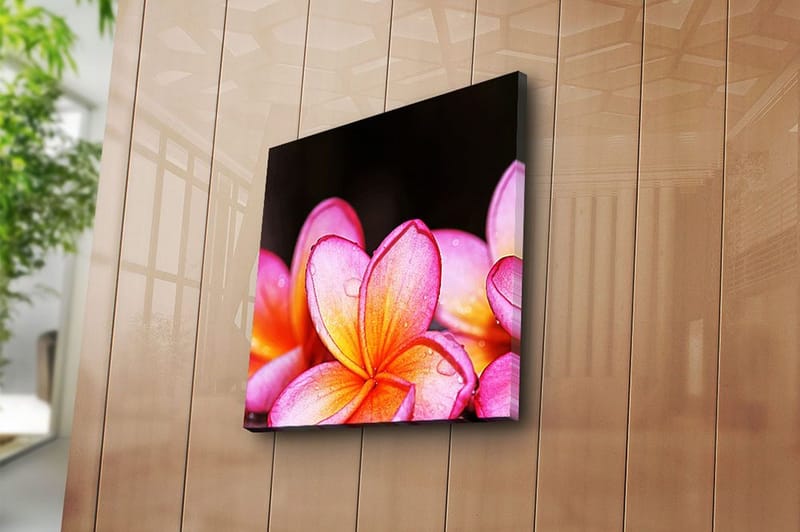 Fototapet Animal Multicolor - 44x54 cm - Boligtilbehør - Billeder & kunst - Billeder på lærred