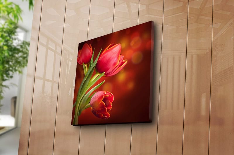 Fototapet Animal Multicolor - 44x54 cm - Boligtilbehør - Billeder & kunst - Billeder på lærred