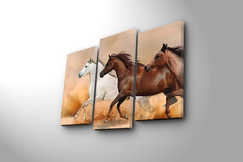 Fototapet Floral 3 stk Flerfarvet - 22x03 cm - Boligtilbehør - Billeder & kunst - Billeder på lærred