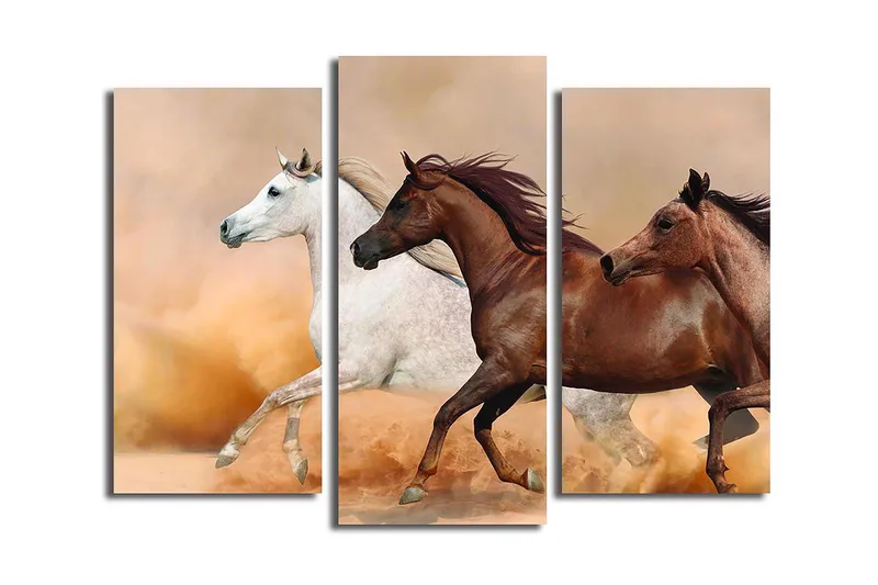 Fototapet Floral 3 stk Flerfarvet, 22x03 cm