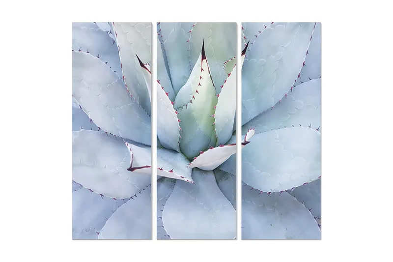 Fototapet Floral 3 stk Flerfarvet, 22x05 cm