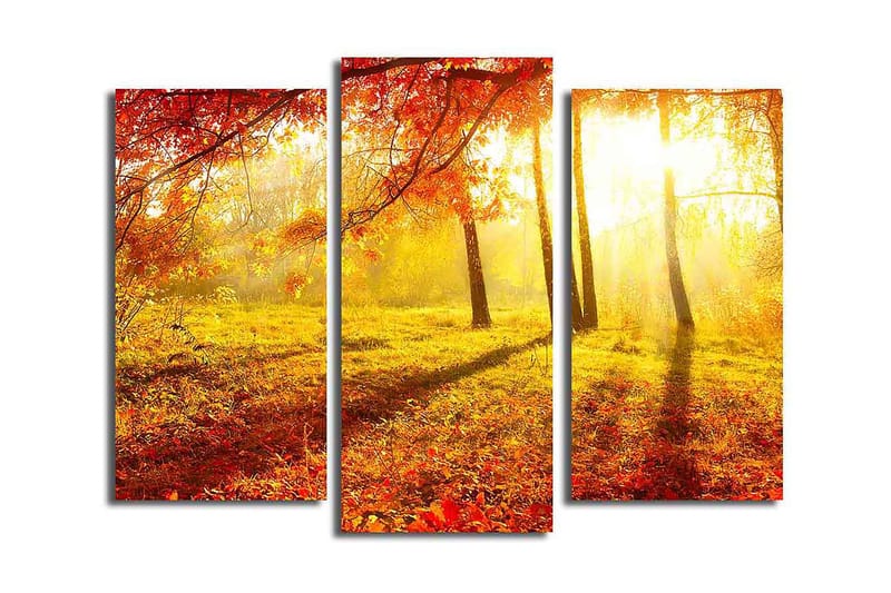Fototapet Køkken 3 stk Flerfarvet - 22x03 cm - Boligtilbehør - Billeder & kunst - Billeder på lærred