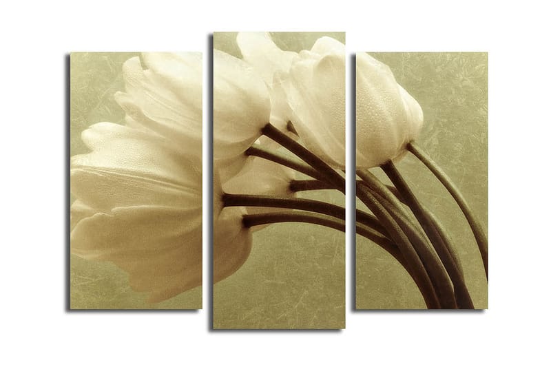 Fototapet Køkken 3 stk Flerfarvet - 22x03 cm - Boligtilbehør - Billeder & kunst - Billeder på lærred