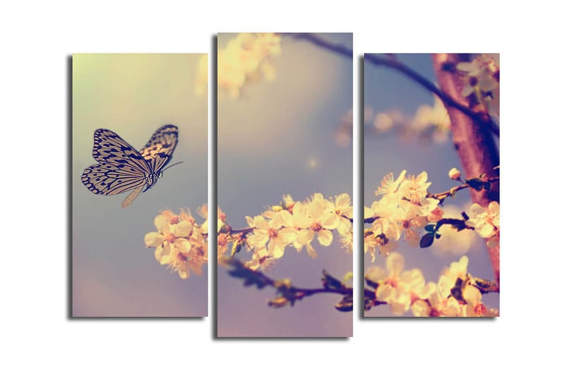 Fototapet Scenic 3 stk Flerfarvet, 22x03 cm