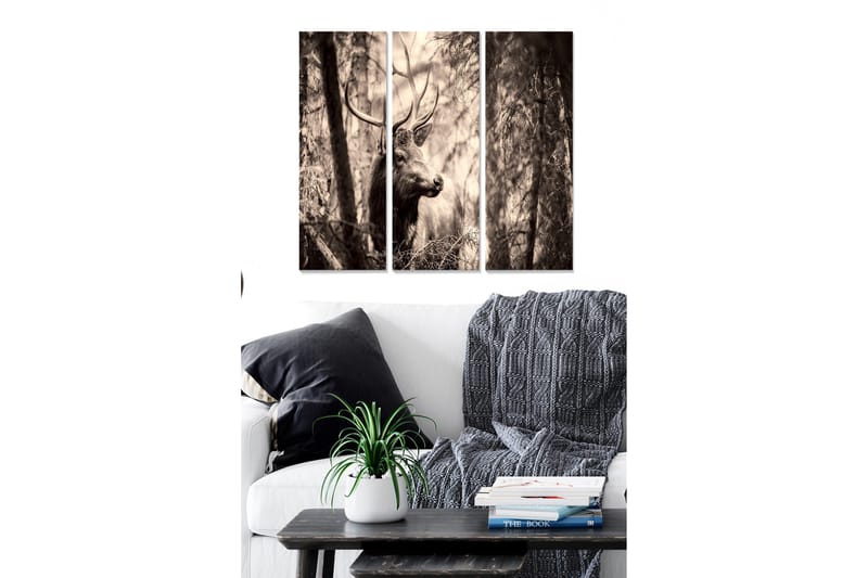 Fototapet Scenic 3 stk Flerfarvet, 22x05 cm