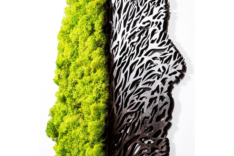 Green And Dry Canvasbillede - Grøn/Brun - Boligtilbehør - Billeder & kunst - Billeder på lærred