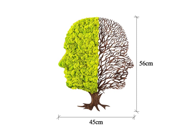 Green And Dry Canvasbillede - Grøn/Brun - Boligtilbehør - Billeder & kunst - Billeder på lærred