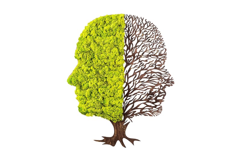 Green And Dry Canvasbillede, Grøn/Brun