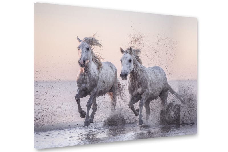 Horses Billede 75x100 cm - Multifarvet - Billeder på lærred