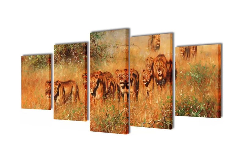 Kanvasbilledsæt Løver 100 X 50 Cm - Flerfarvet - Billeder på lærred