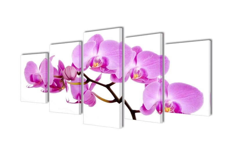 Kanvasbilledsæt Orkide 200 X 100 Cm - Flerfarvet - Billeder på lærred
