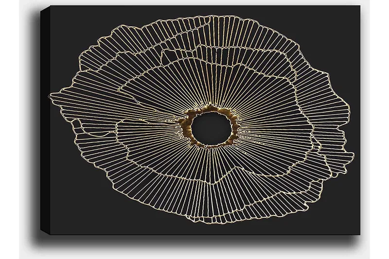 Lærred 70x100 cm - Abstrakt blomst med guldlinjer på sort baggrund - Guld / Sort - Boligtilbehør - Billeder & kunst - Billeder på lærred