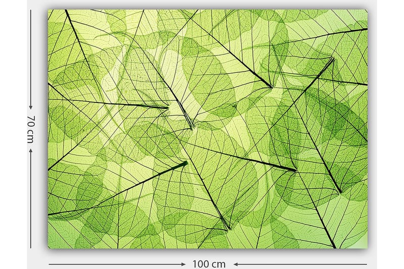 Lærred 70x100 cm - Abstrakt komposition af gennemsigtige blade i forskellige grønne nuancer - Lysegrøn / Mørkegrøn / Sort - Boligtilbehør - Billeder & kunst - Billeder på lærred