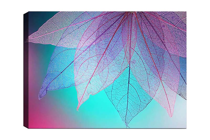 Lærred 70x100 cm - Abstrakt komposition af gennemsigtige blade med en harmonisk farvepalet, Lilla / Turkis / Lyserød