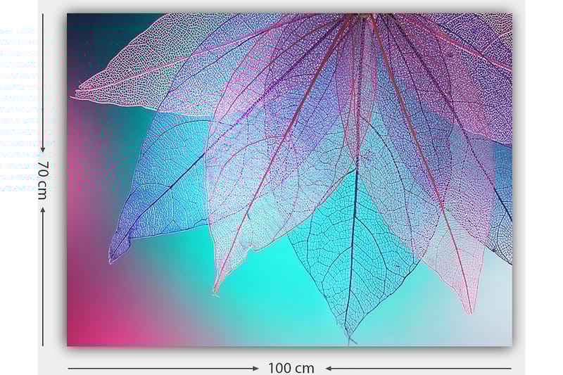 Lærred 70x100 cm - Abstrakt komposition af gennemsigtige blade med en harmonisk farvepalet - Lilla / Turkis / Lyserød - Boligtilbehør - Billeder & kunst - Billeder på lærred