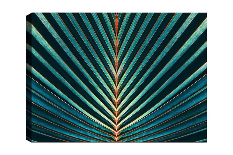 Lærred 70x100 cm - Abstrakt komposition af palmeblade med klare linjer og symmetri, Mørkegrøn / Turkis / Orange
