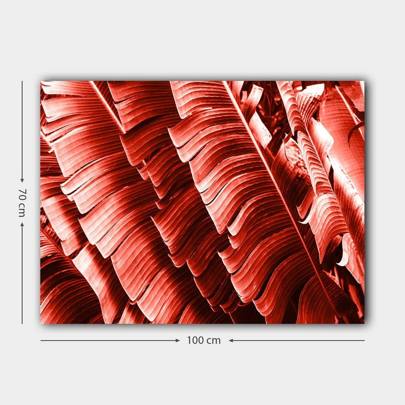 Lærred 70x100 cm - Abstrakt komposition af planteblade i dybe røde nuancer - Rød / Mørkerød - Boligtilbehør - Billeder & kunst - Billeder på lærred
