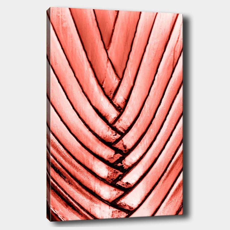 Lærred 70x100 cm - Abstrakt komposition med bølgede linjer i lyserøde nuancer, Lyserød / Sort