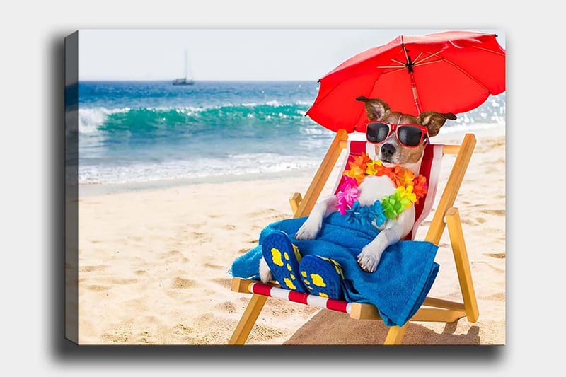 Lærred 70x100 cm - Afslappet hund nyder solen på en strandstol under en parasol, Rød / Blå / Gul