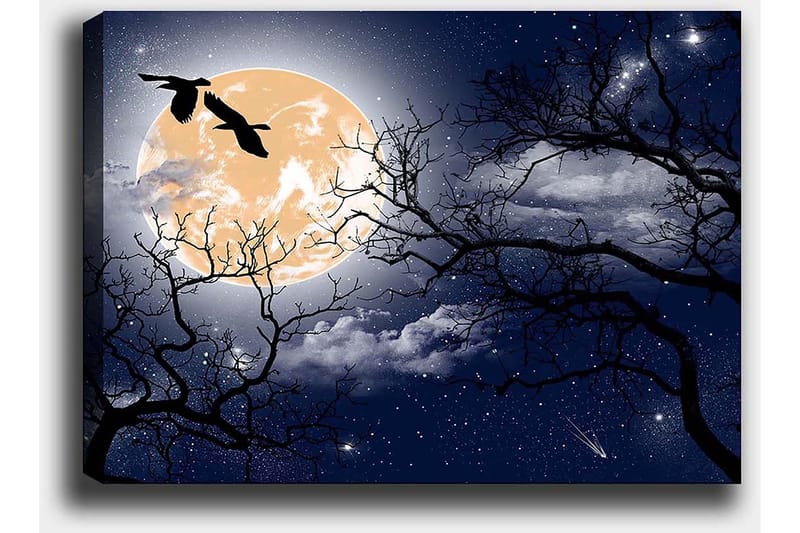 Lærred 70x100 cm - Atmosfærisk nattelandskab med en stor måne og silhuetter af træer og fugle, der flyver hen over himlen - Mørkeblå / Sort / Lysegul - Boligtilbehør - Billeder & kunst - Billeder på lærred