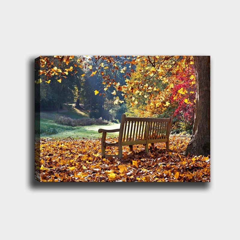 Lærred 70x100 cm - Bænk omgivet af farverige efterårsblade i naturskønne omgivelser, Orange / Gul / Rød