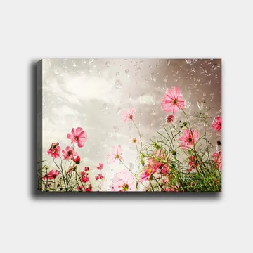 Lærred 70x100 cm - Blomster i forskellige nuancer af lyserød mod en dæmpet baggrund - Lyserød / Grøn - Boligtilbehør - Billeder & kunst - Billeder på lærred