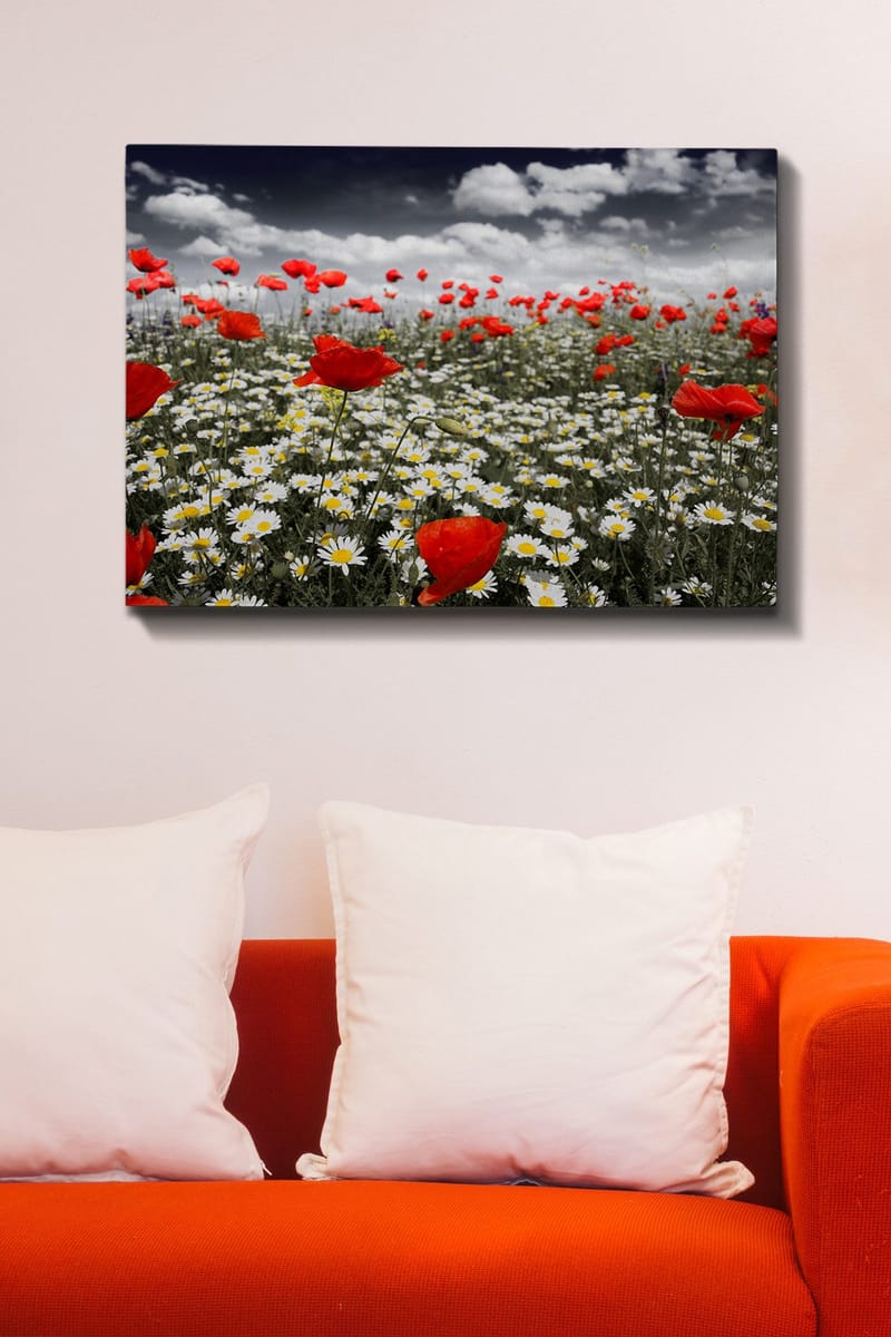 Lærred 70x100 cm - Blomstereng med røde valmuer og hvide margueritter, der skaber en kontrastfuld og levende komposition - Rød / Hvid - Boligtilbehør - Billeder & kunst - Billeder på lærred