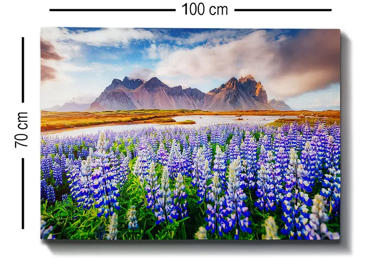 Lærred 70x100 cm - Blomstrende eng med lupiner i forskellige nuancer af blå og hvid, omgivet af majestætiske bjerge i baggrunden - Blå / Hvid / Grøn - Boligtilbehør - Billeder & kunst - Billeder på lærred