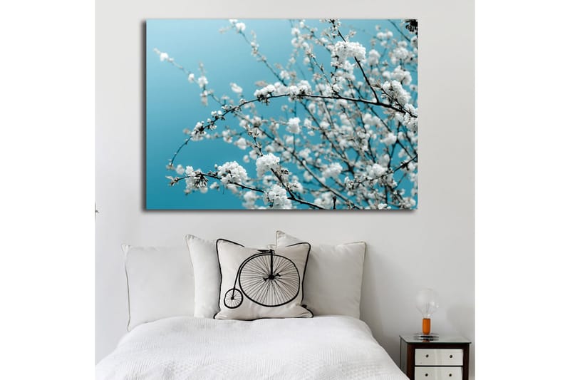 Lærred 70x100 cm - Blomstrende grene mod en klar, blå baggrund - Hvid / Lyseblå - Boligtilbehør - Billeder & kunst - Billeder på lærred