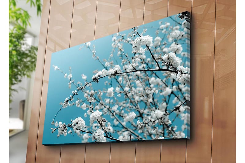 Lærred 70x100 cm - Blomstrende grene mod en klar, blå baggrund - Hvid / Lyseblå - Boligtilbehør - Billeder & kunst - Billeder på lærred